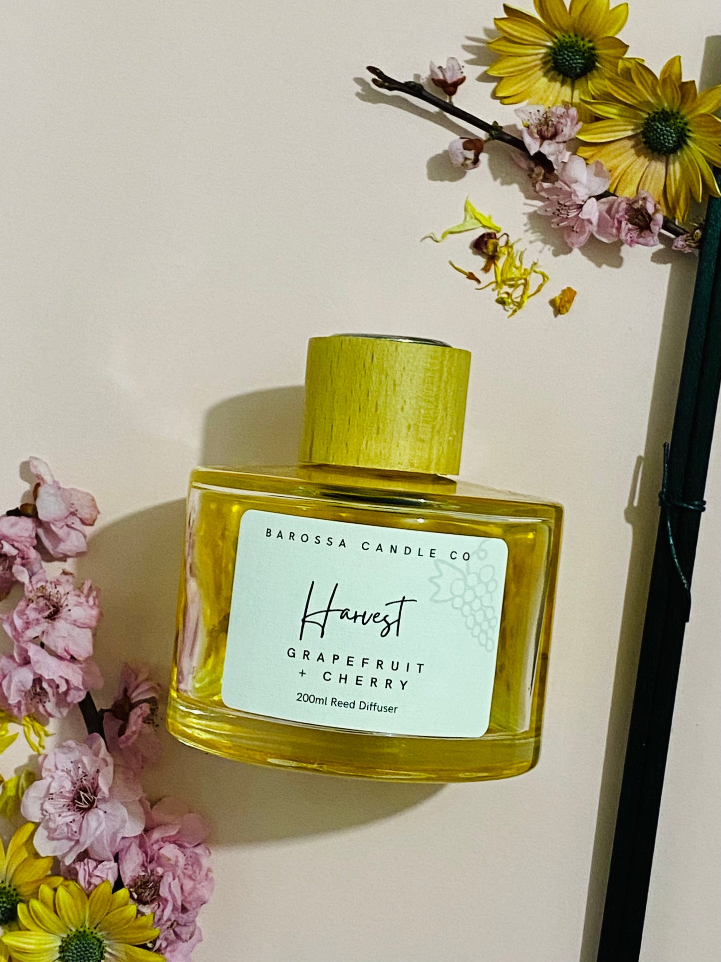 Harvest: Grapefruit + Cherry Reed Diffuser