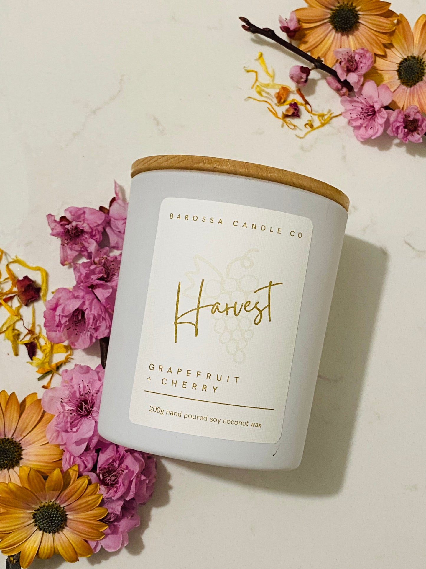 Harvest: Grapefruit + Cherry Coconut Soy Candle