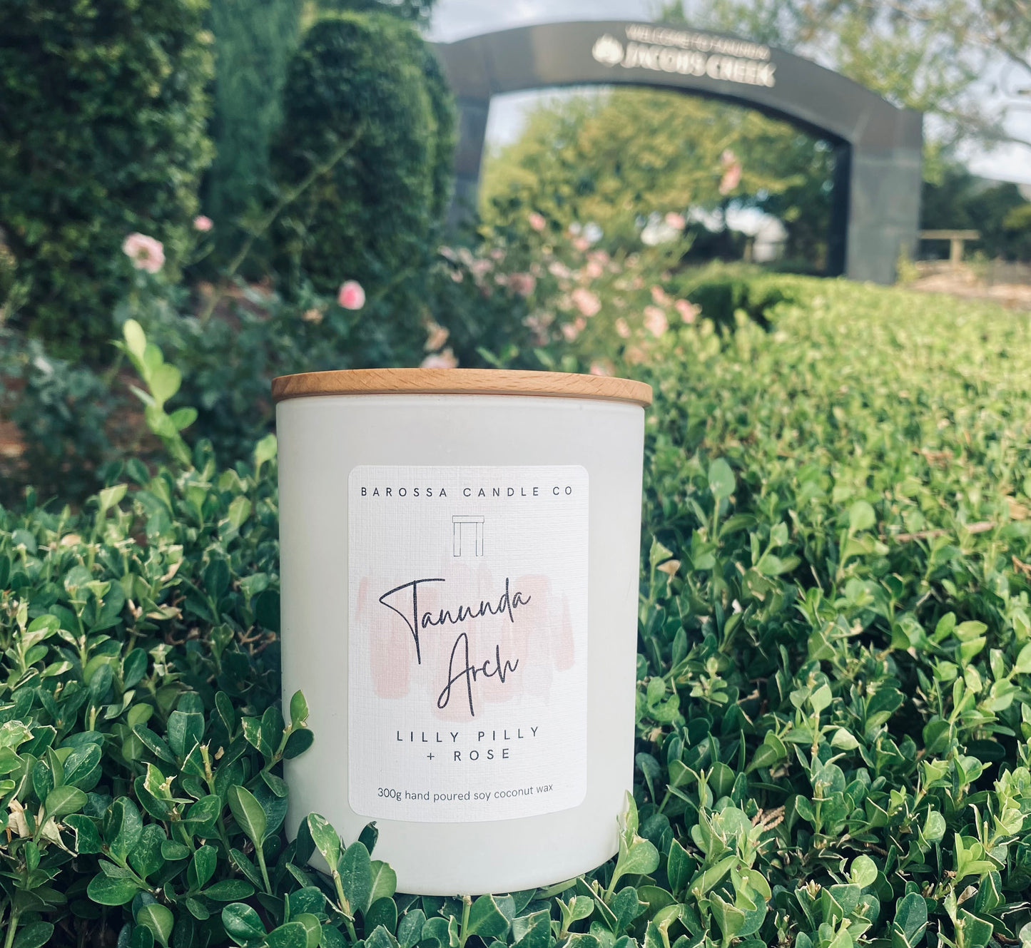 Tanunda Arch: Lilly Pilly + Rose Coconut Soy Candle