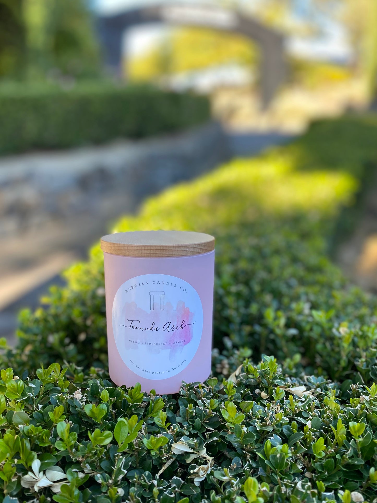 Tanunda Arch: Lilly Pilly + Rose Coconut Soy Candle